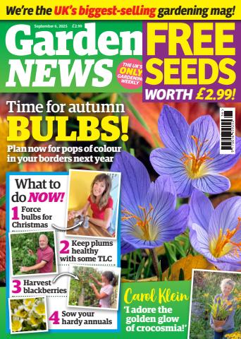 6-Sep-2025 issue 6-Sep-2025