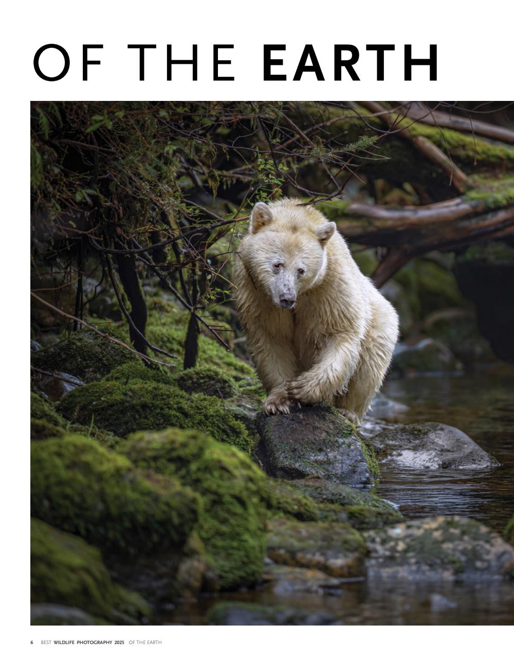 Canadian Geographic Preview Pages