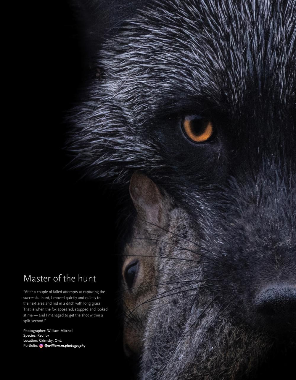 Canadian Geographic Preview Pages