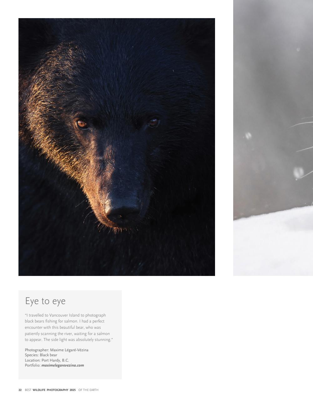 Canadian Geographic Preview Pages