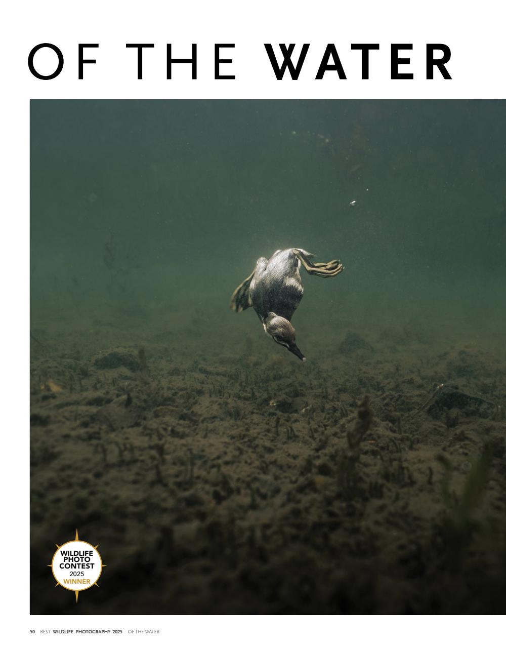 Canadian Geographic Preview Pages