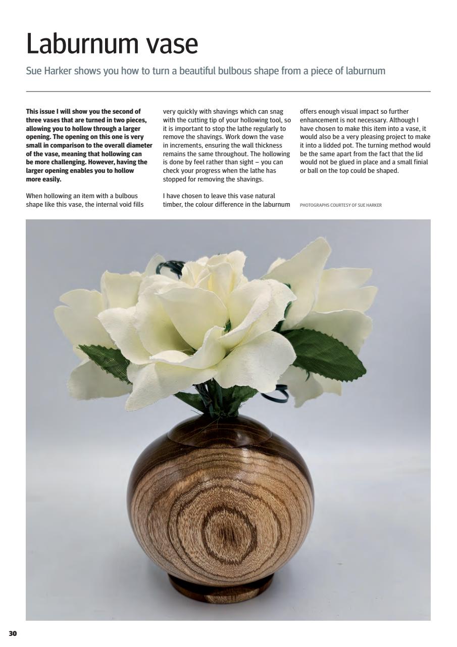 Woodturning Preview Pages