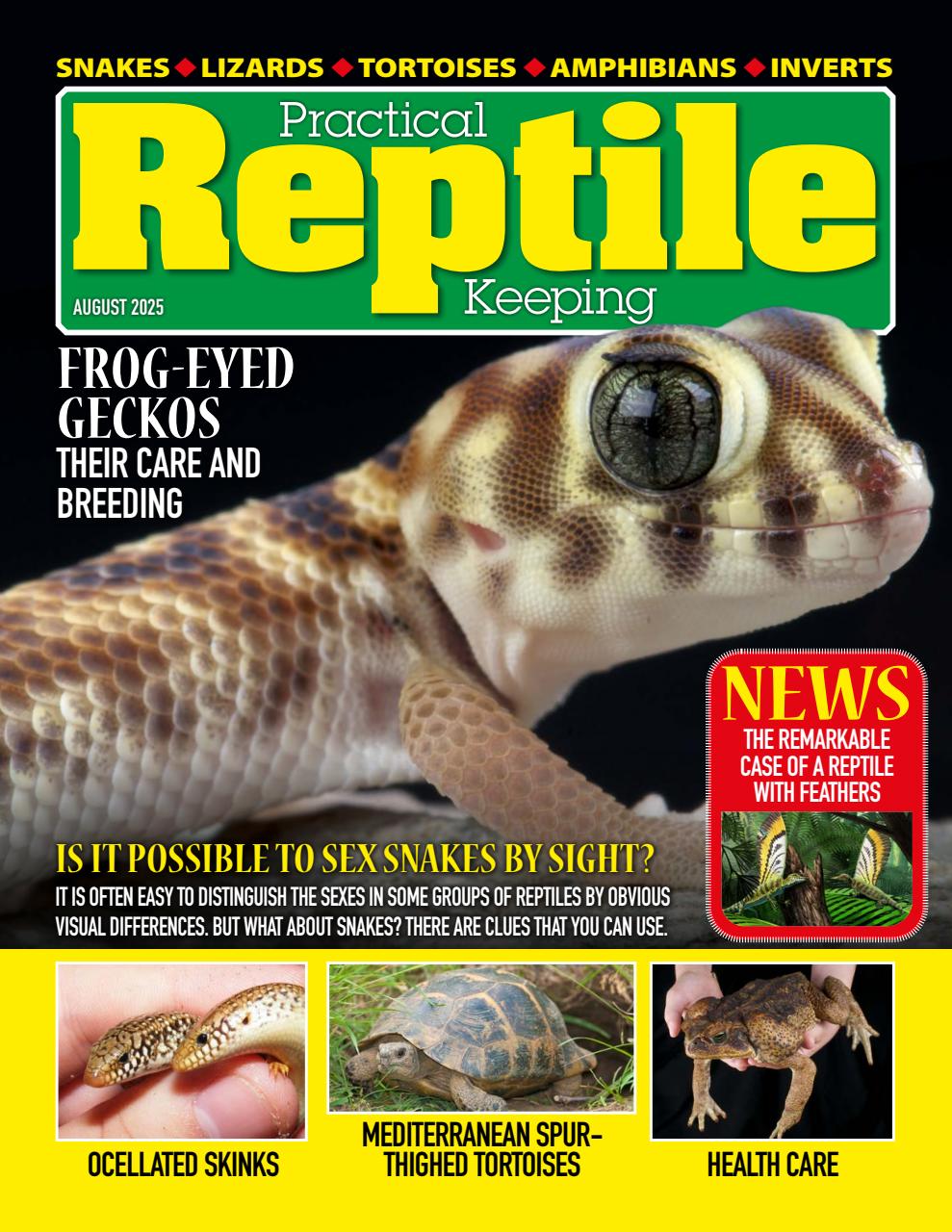 Practical Reptile Keeping Preview Pages