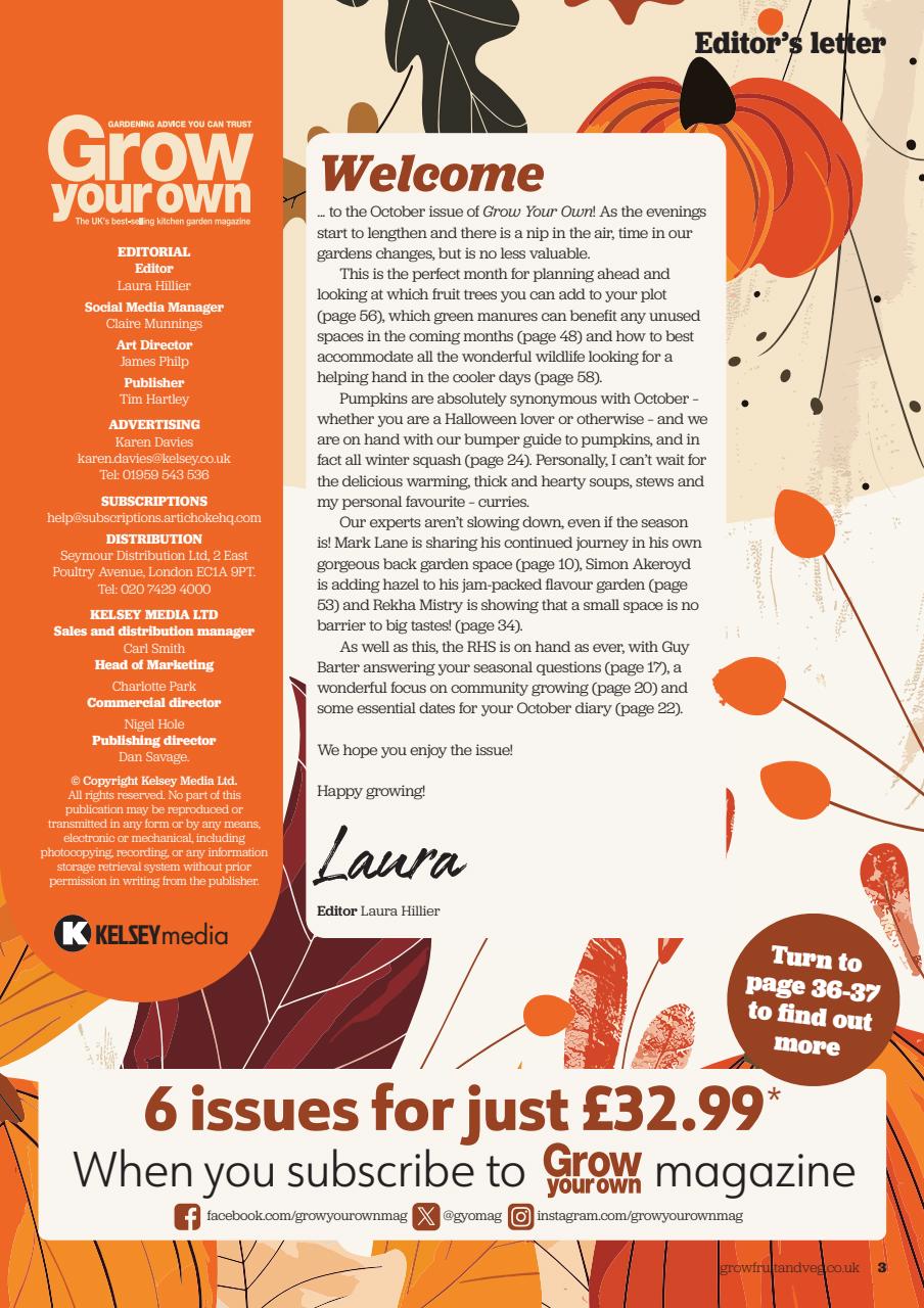 Grow Your Own Preview Pages