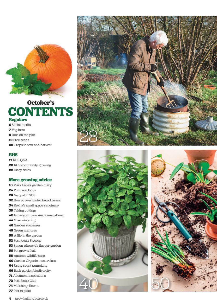 Grow Your Own Preview Pages