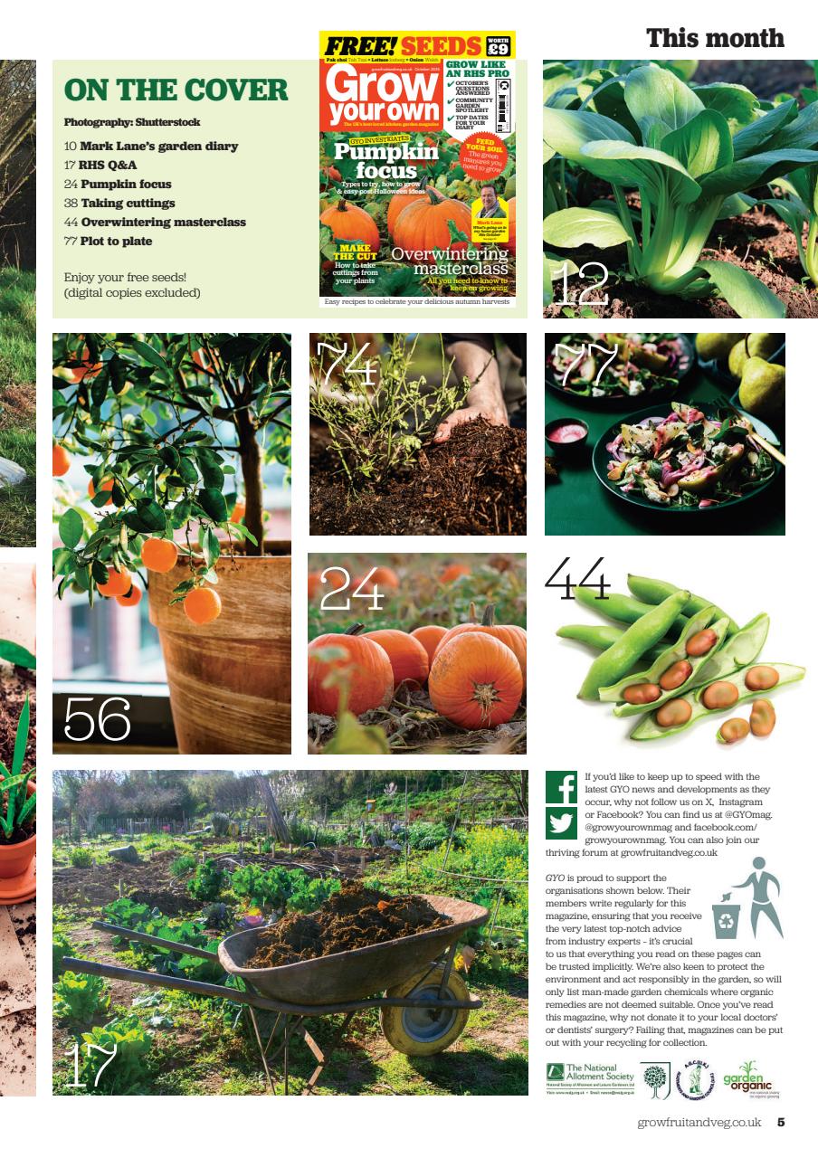 Grow Your Own Preview Pages