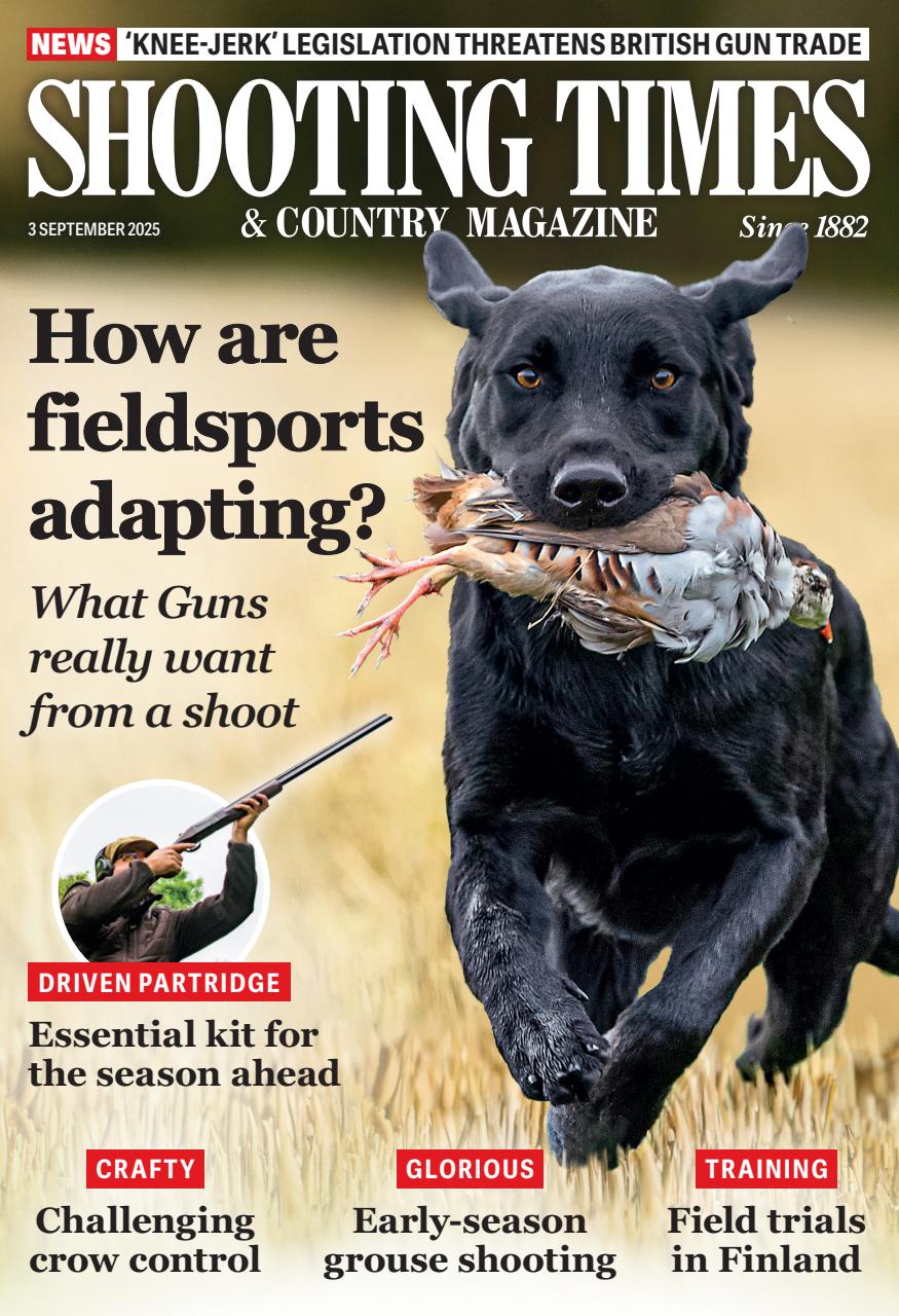 Shooting Times & Country Preview Pages