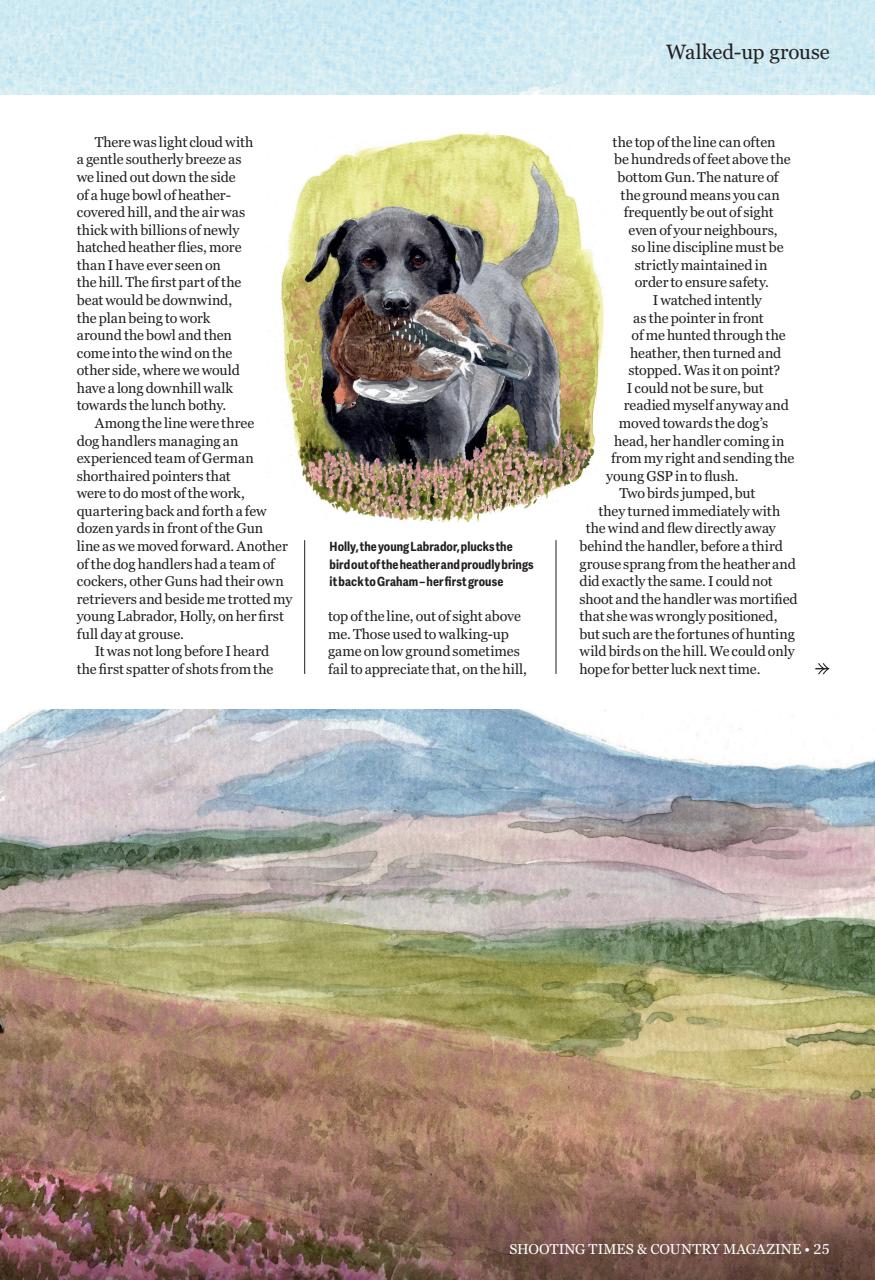 Shooting Times & Country Preview Pages