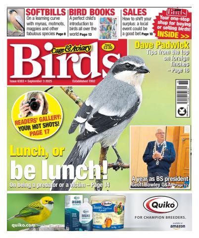 Cage & Aviary Birds Magazine - No.5789 A Secretive Superstar