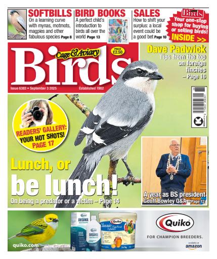 Cage & Aviary Birds issue 