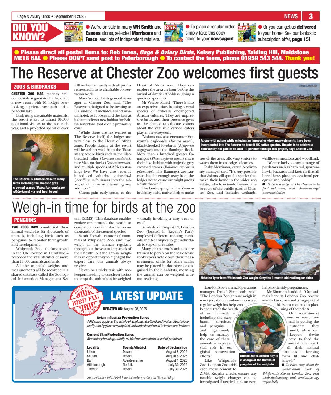 Cage & Aviary Birds Preview Pages