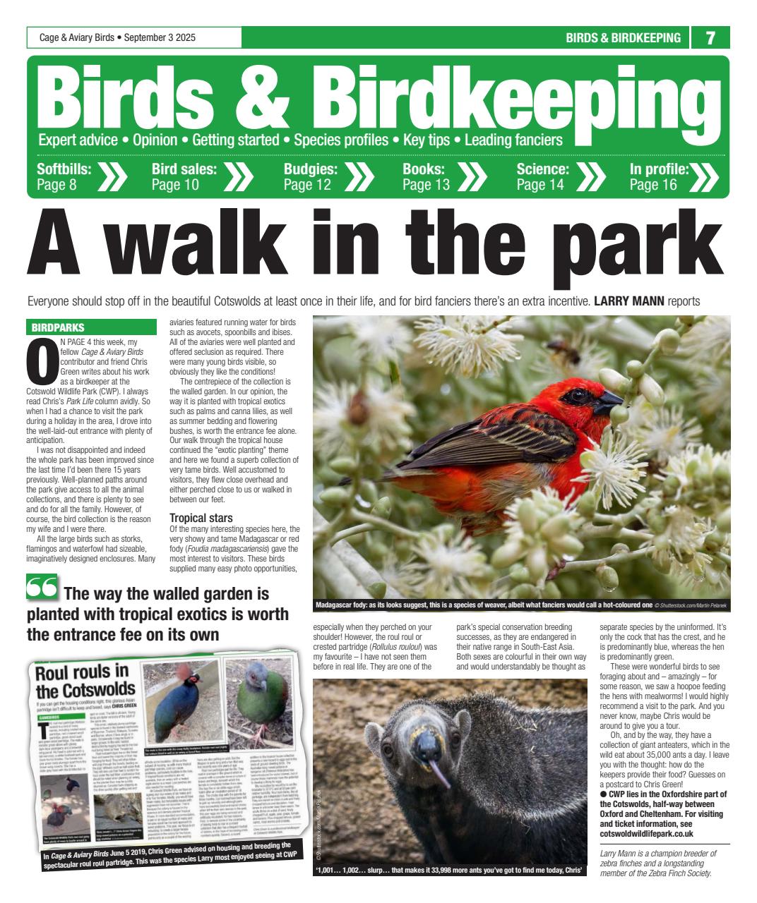 Cage & Aviary Birds Preview Pages