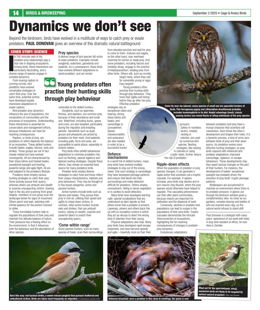 Cage & Aviary Birds Preview Pages