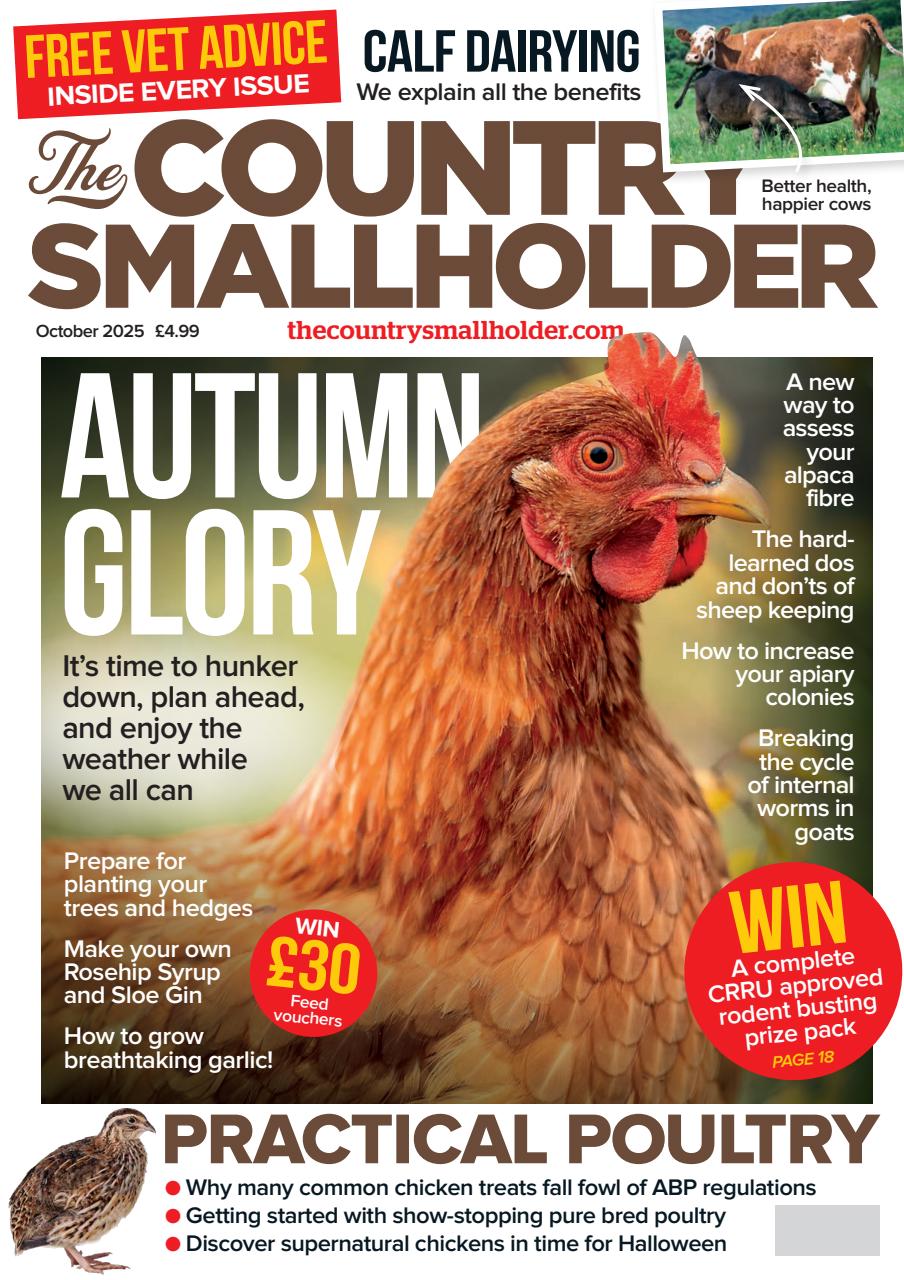 The Country Smallholder Preview Pages