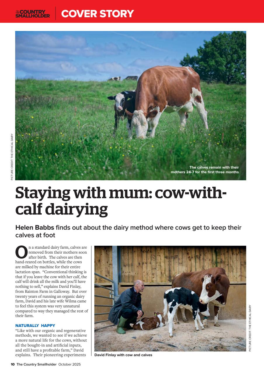 The Country Smallholder Preview Pages