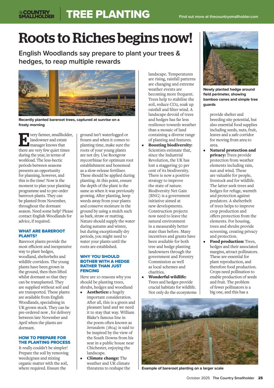 The Country Smallholder Preview Pages