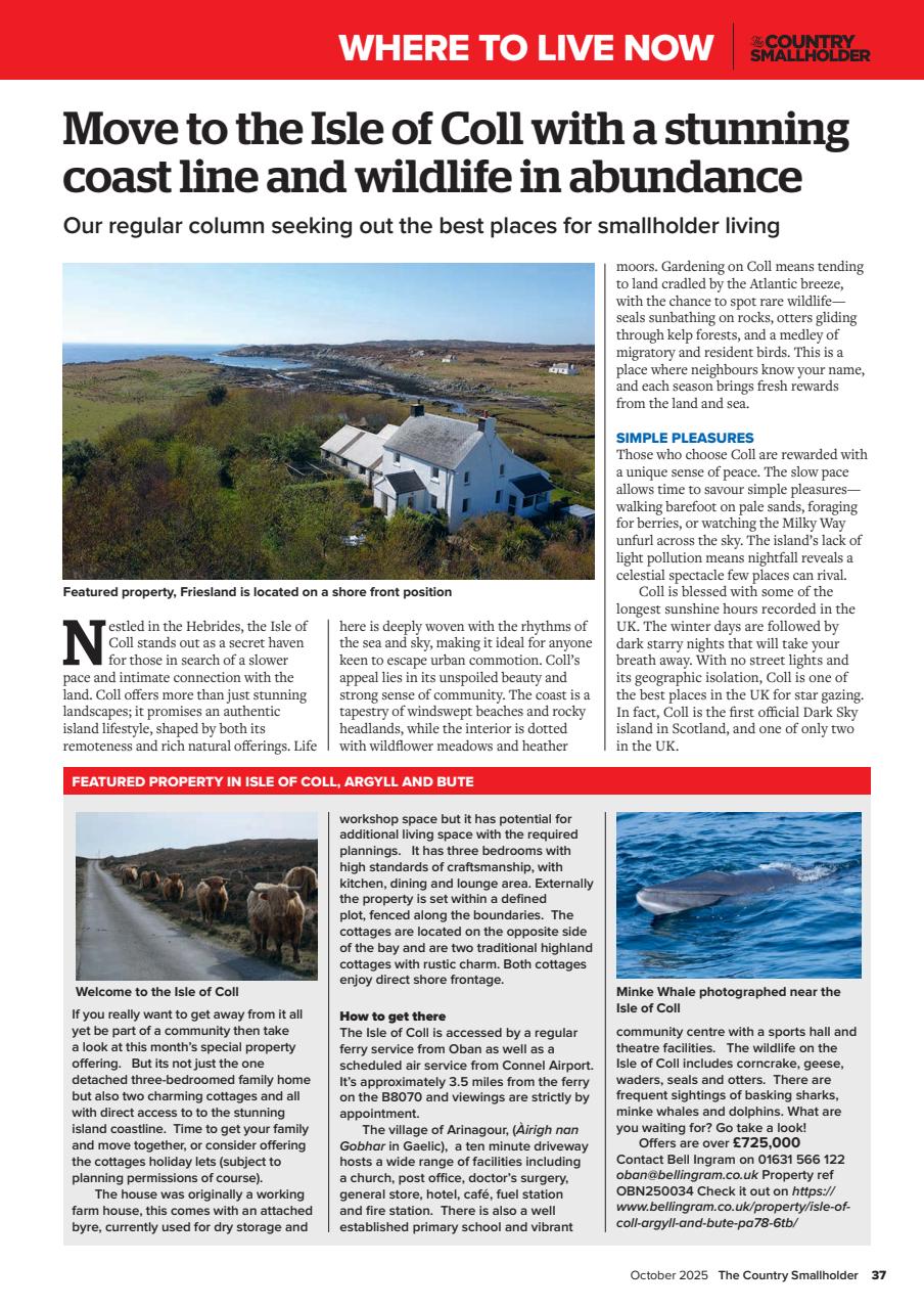 The Country Smallholder Preview Pages