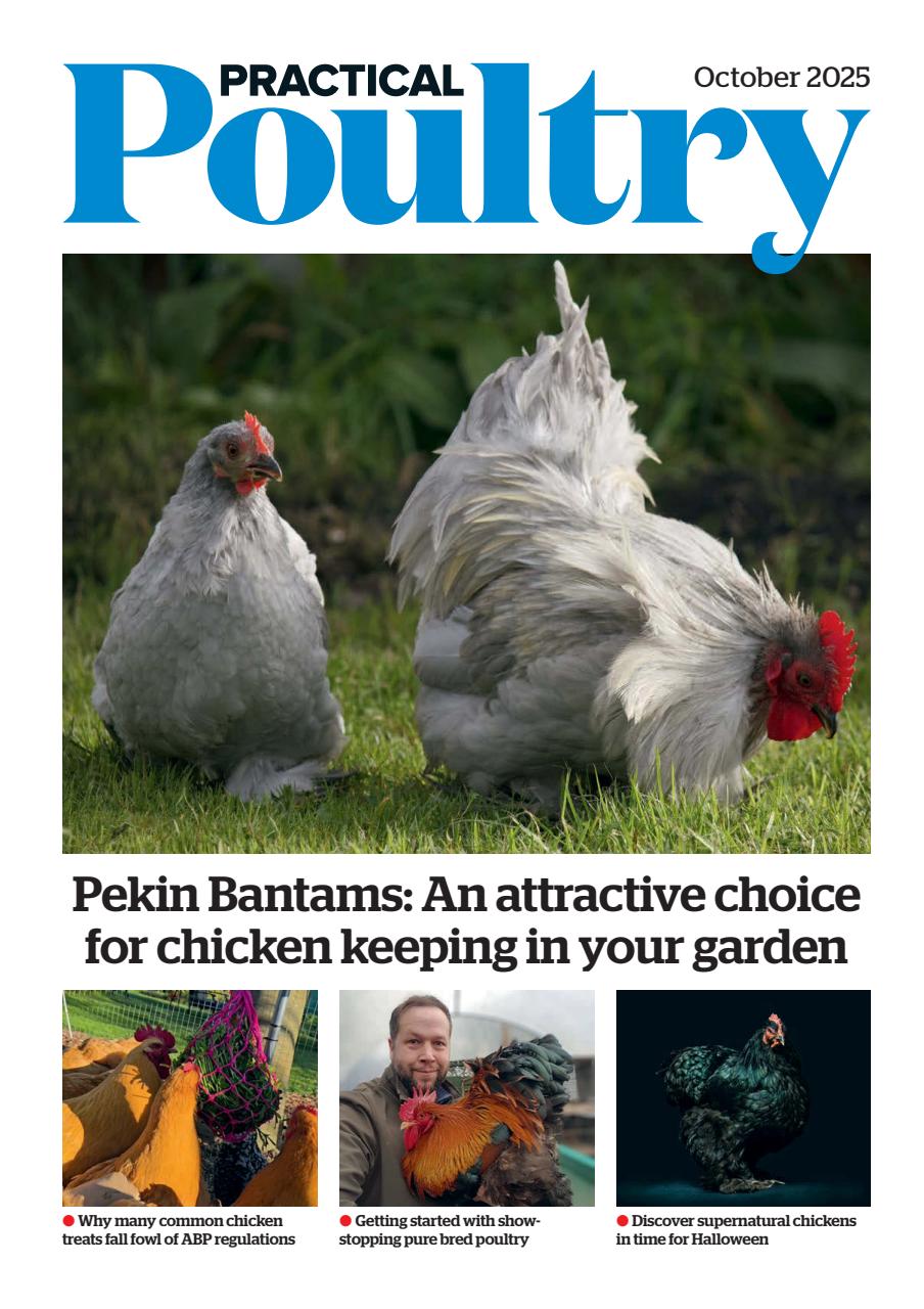 The Country Smallholder Preview Pages