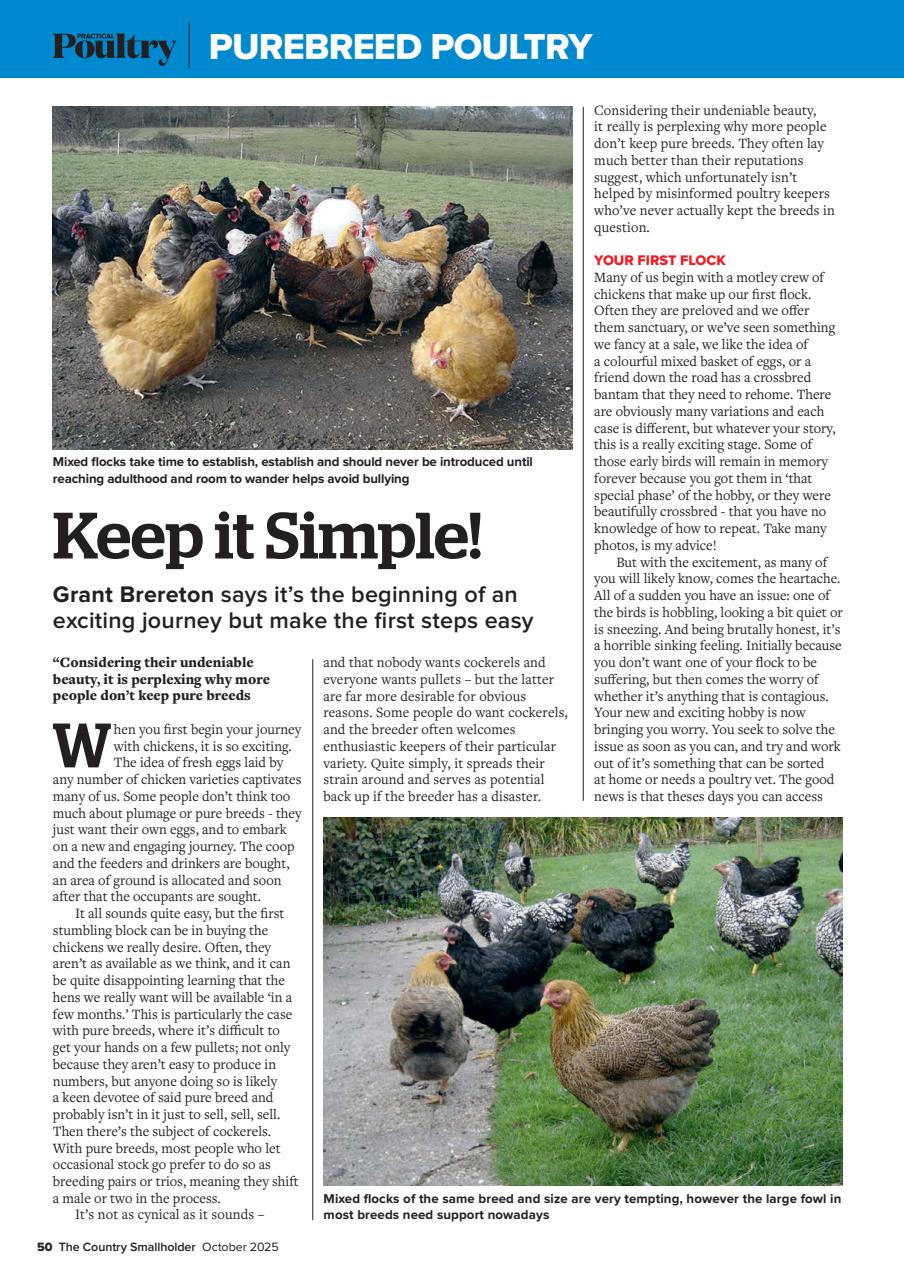 The Country Smallholder Preview Pages