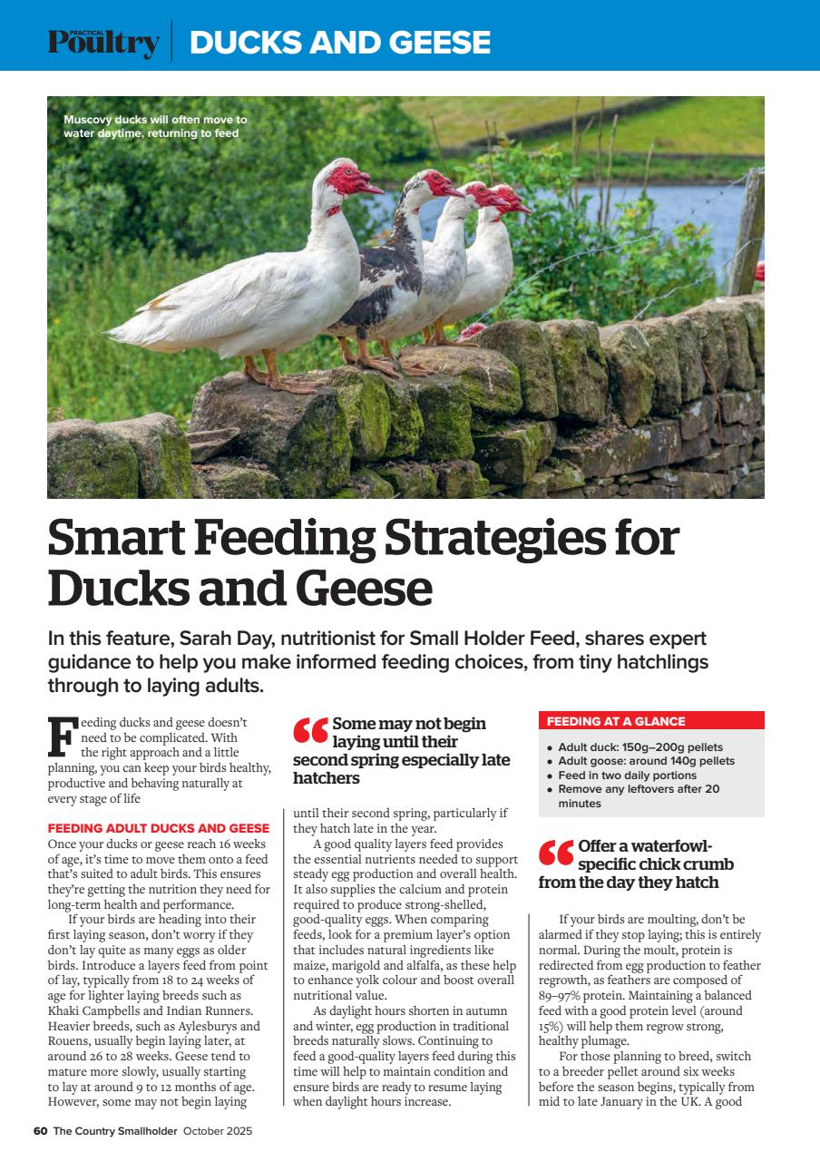 The Country Smallholder Preview Pages