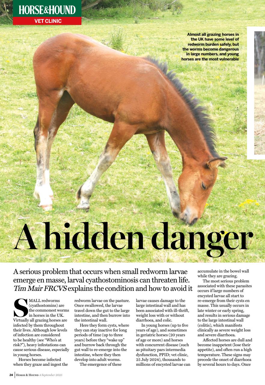 Horse & Hound Preview Pages