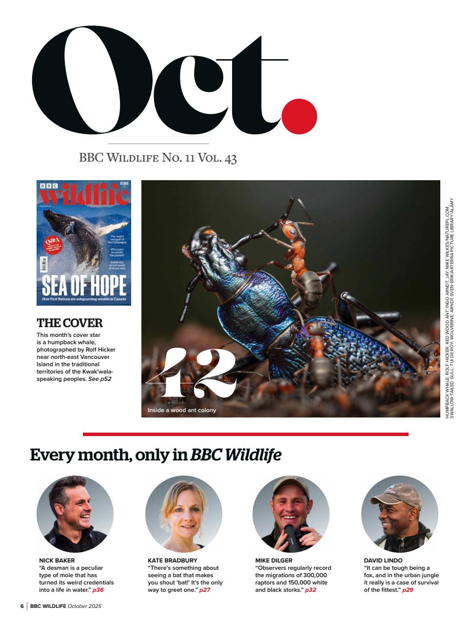 BBC Wildlife Magazine Preview Pages