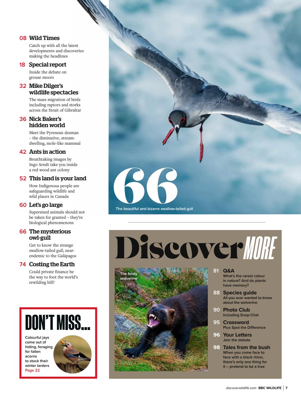 BBC Wildlife Magazine Preview Pages