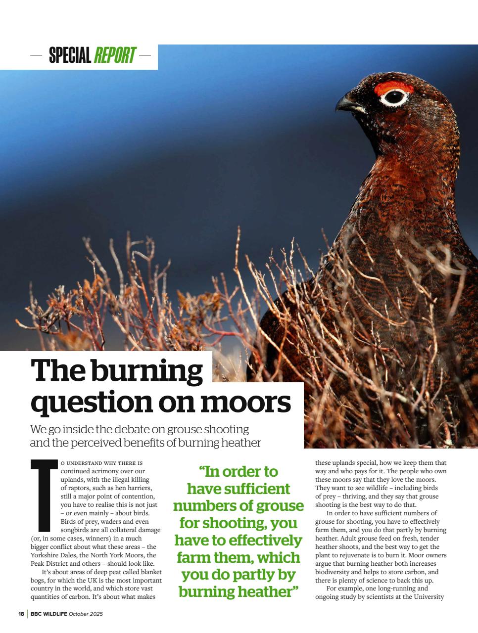 BBC Wildlife Magazine Preview Pages