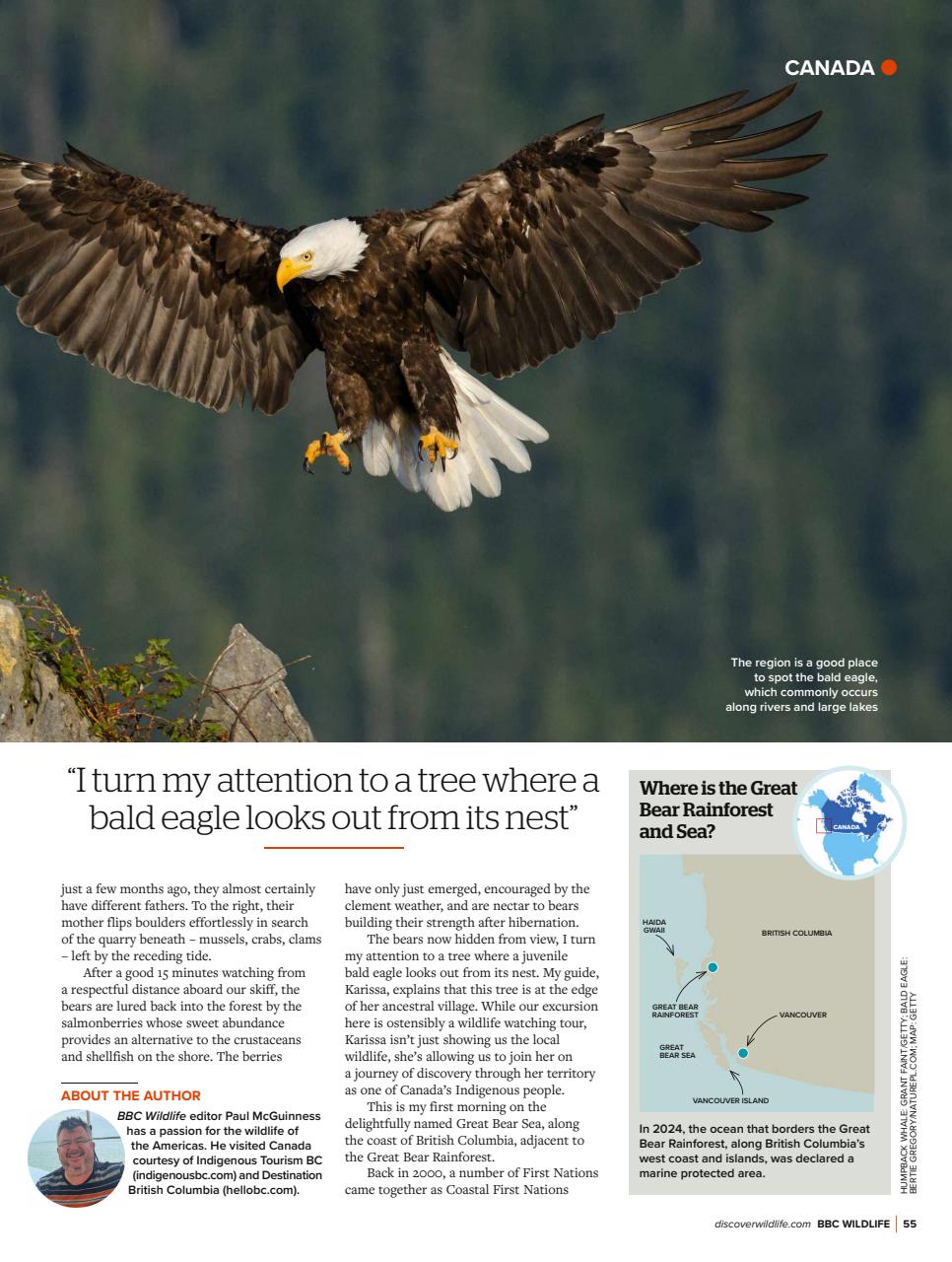 BBC Wildlife Magazine Preview Pages