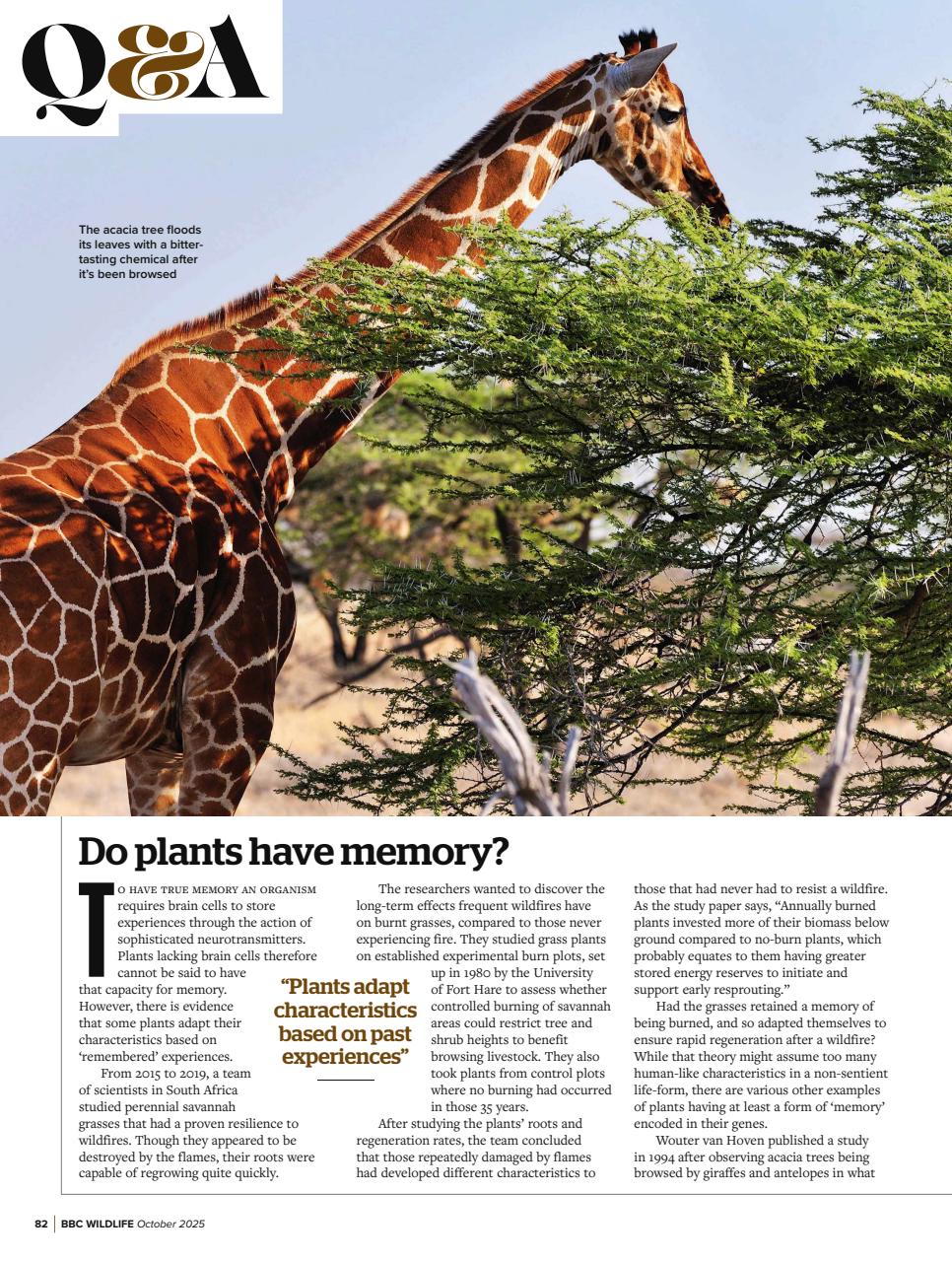 BBC Wildlife Magazine Preview Pages