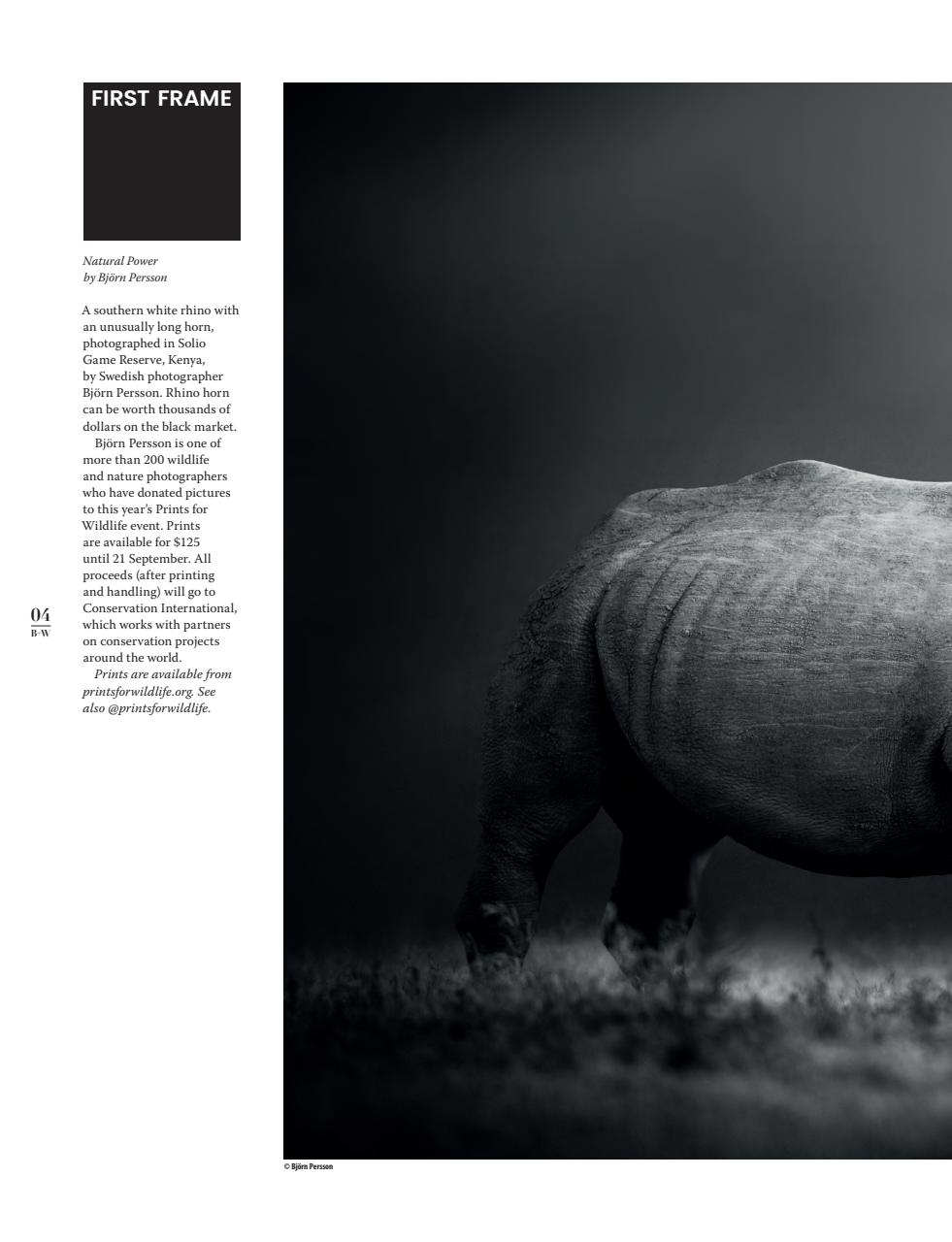 Black+White Photography Preview Pages