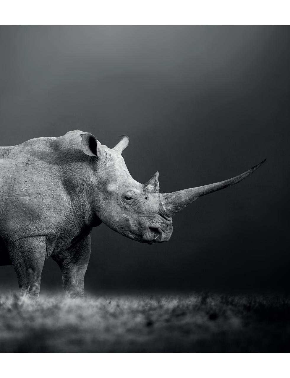 Black+White Photography Preview Pages