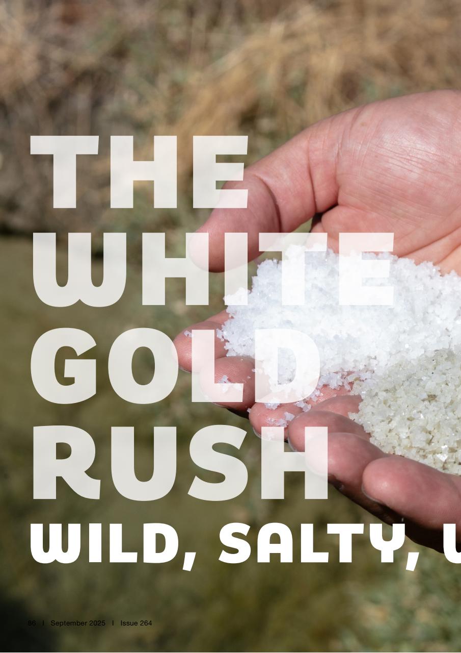 Loaded Preview Pages