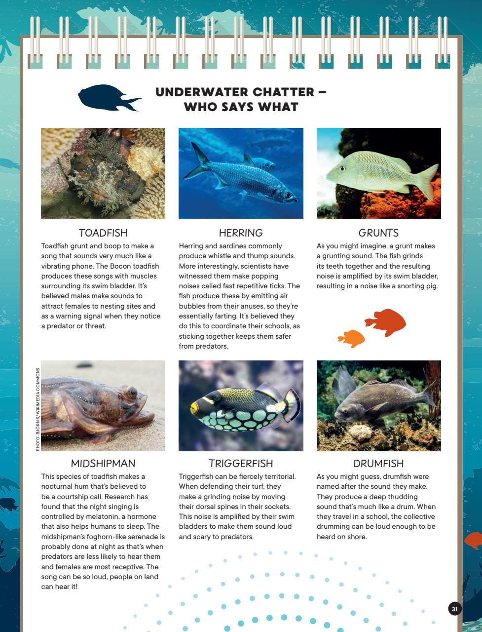 Teen Breathe Preview Pages