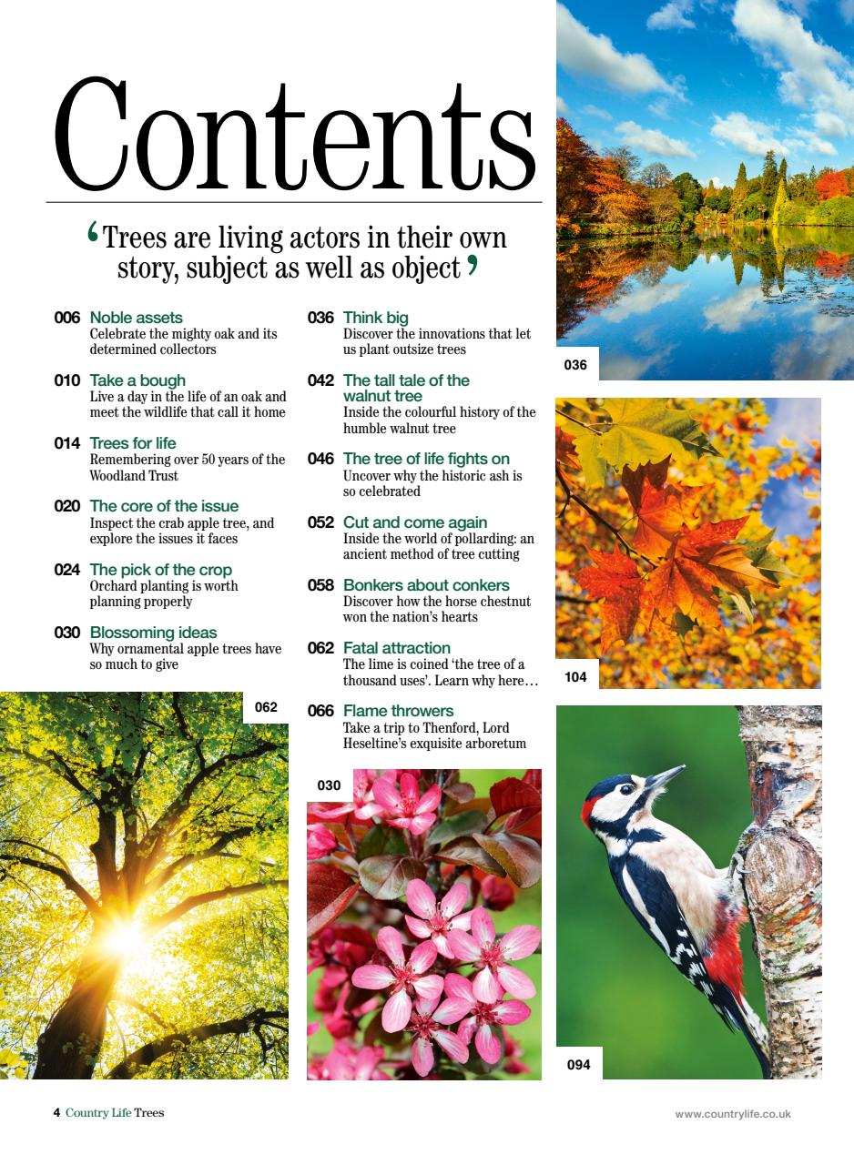 Country Life Bookazine Preview Pages