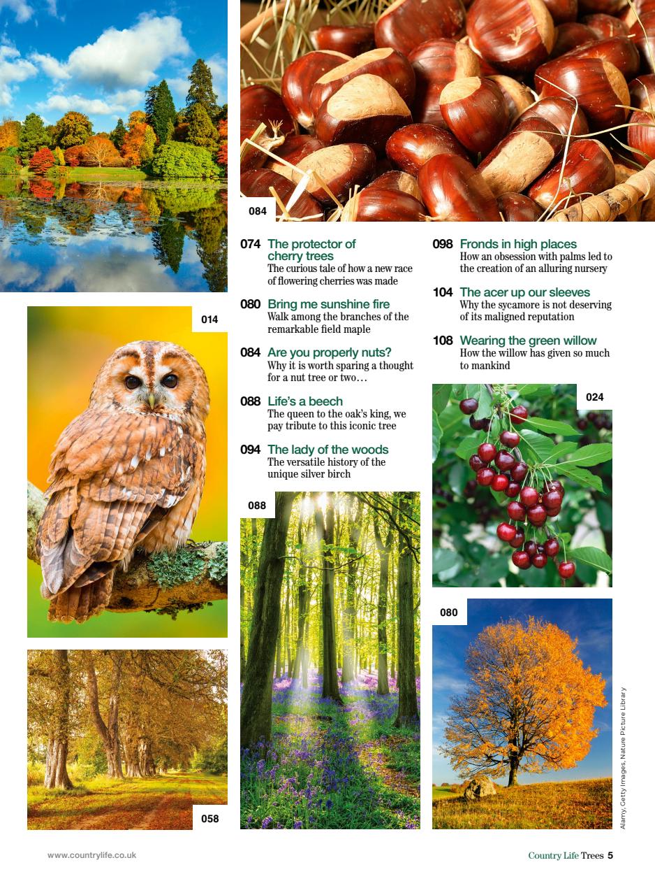 Country Life Bookazine Preview Pages