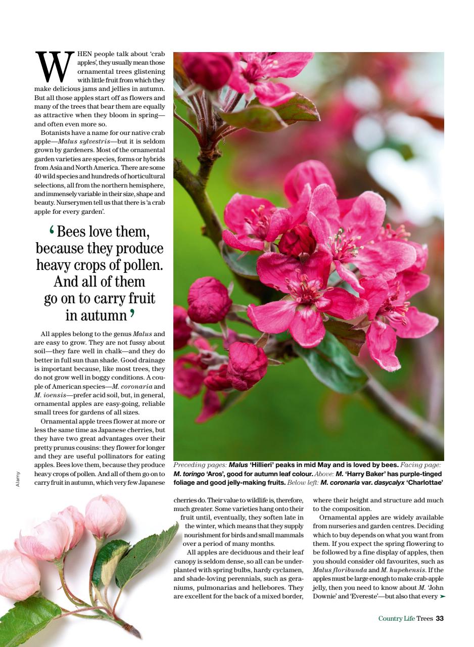 Country Life Bookazine Preview Pages