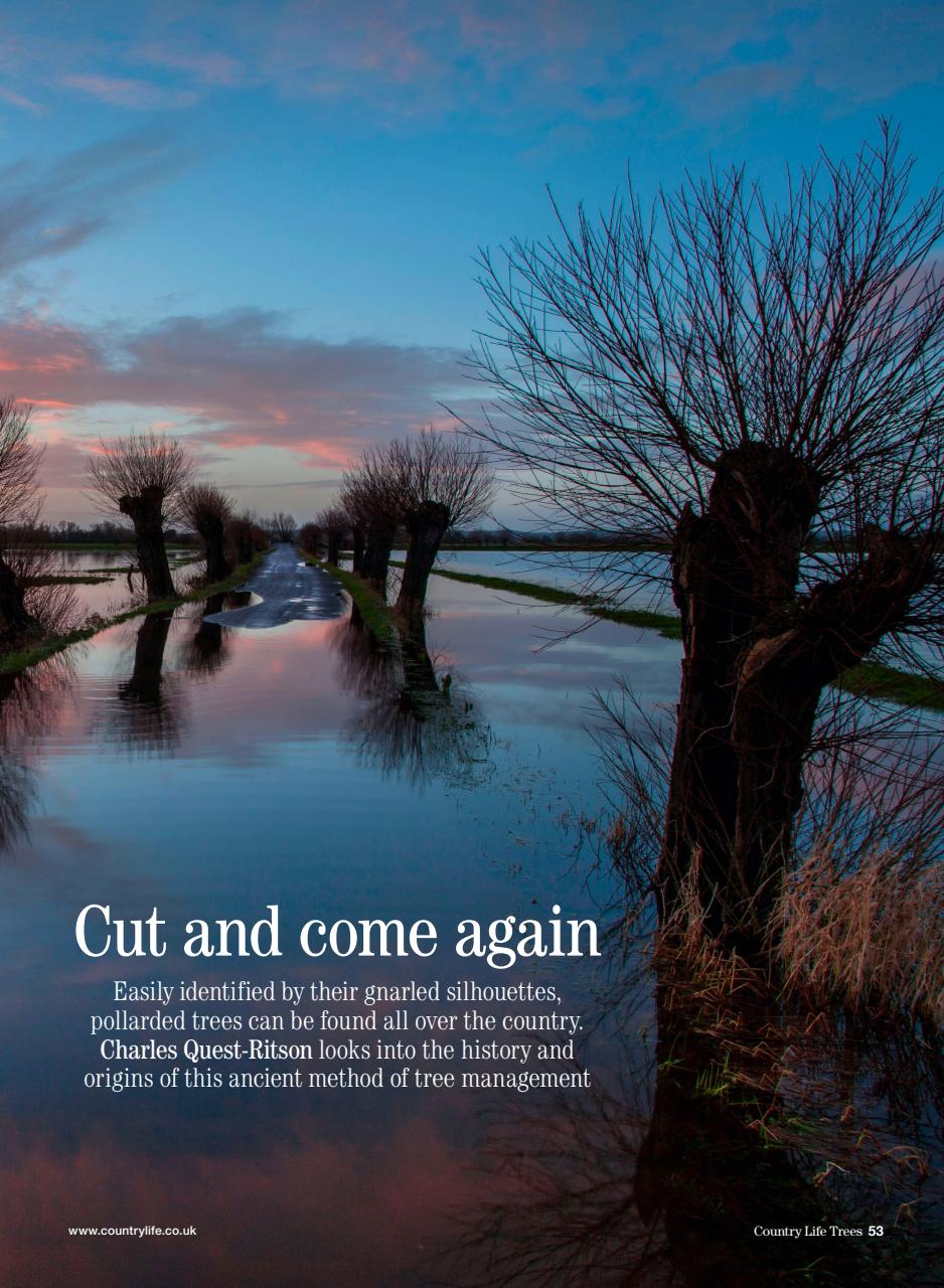 Country Life Bookazine Preview Pages