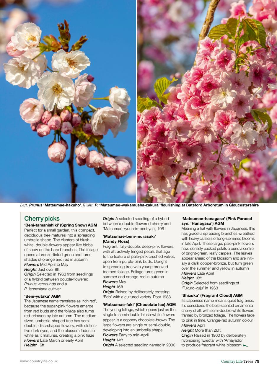Country Life Bookazine Preview Pages