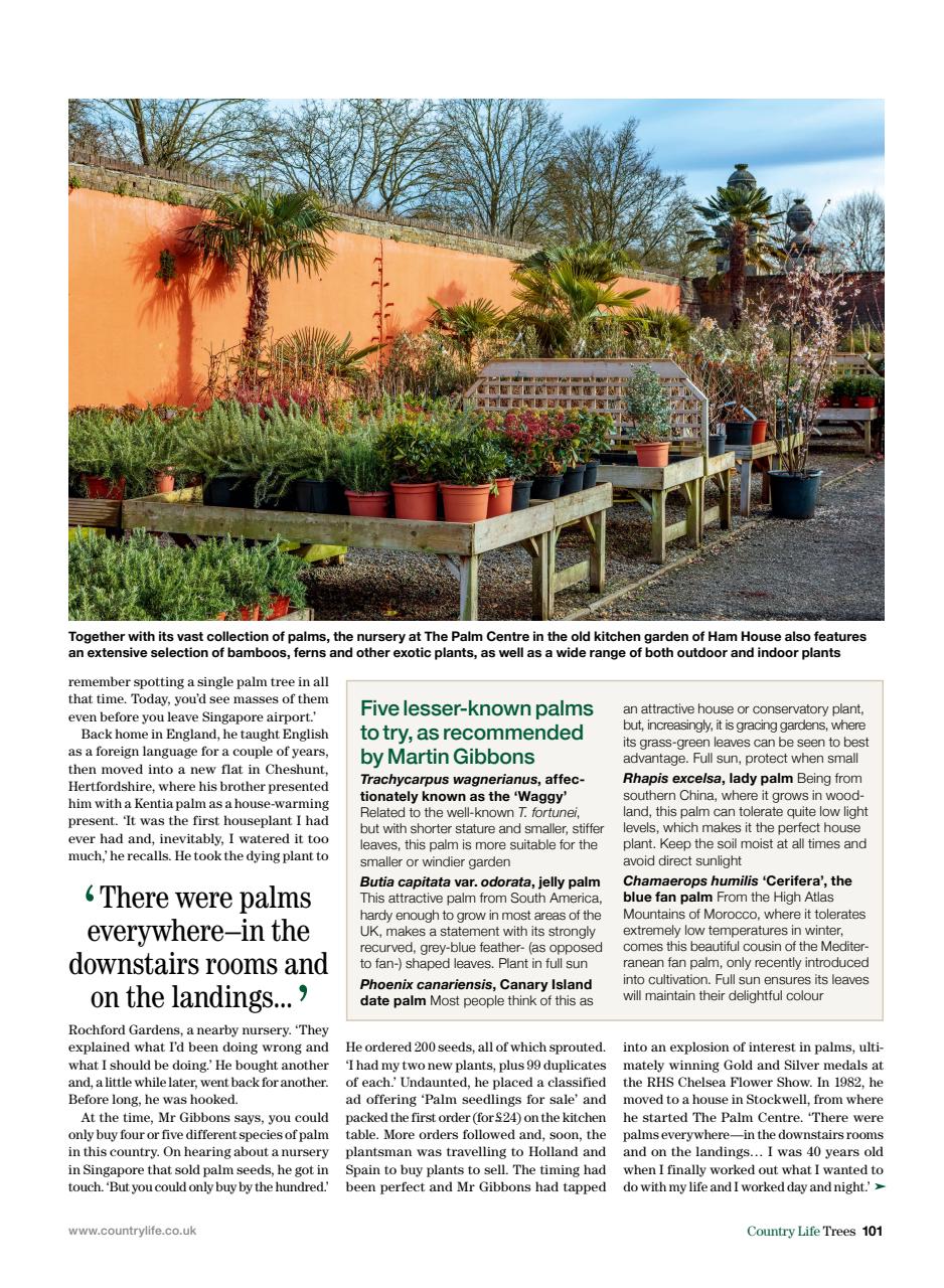 Country Life Bookazine Preview Pages