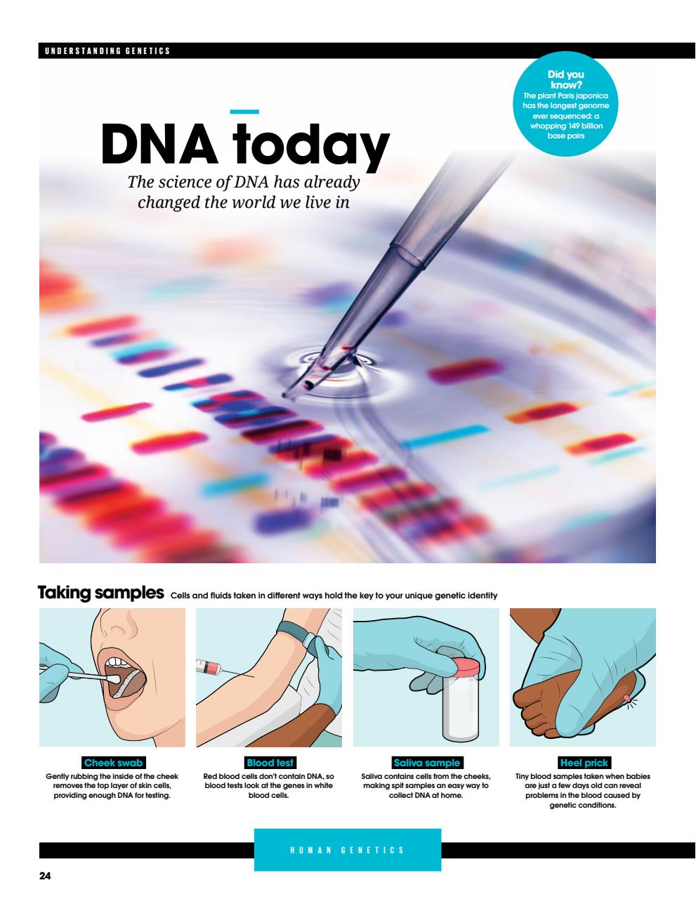 How It Works Bookazine Preview Pages