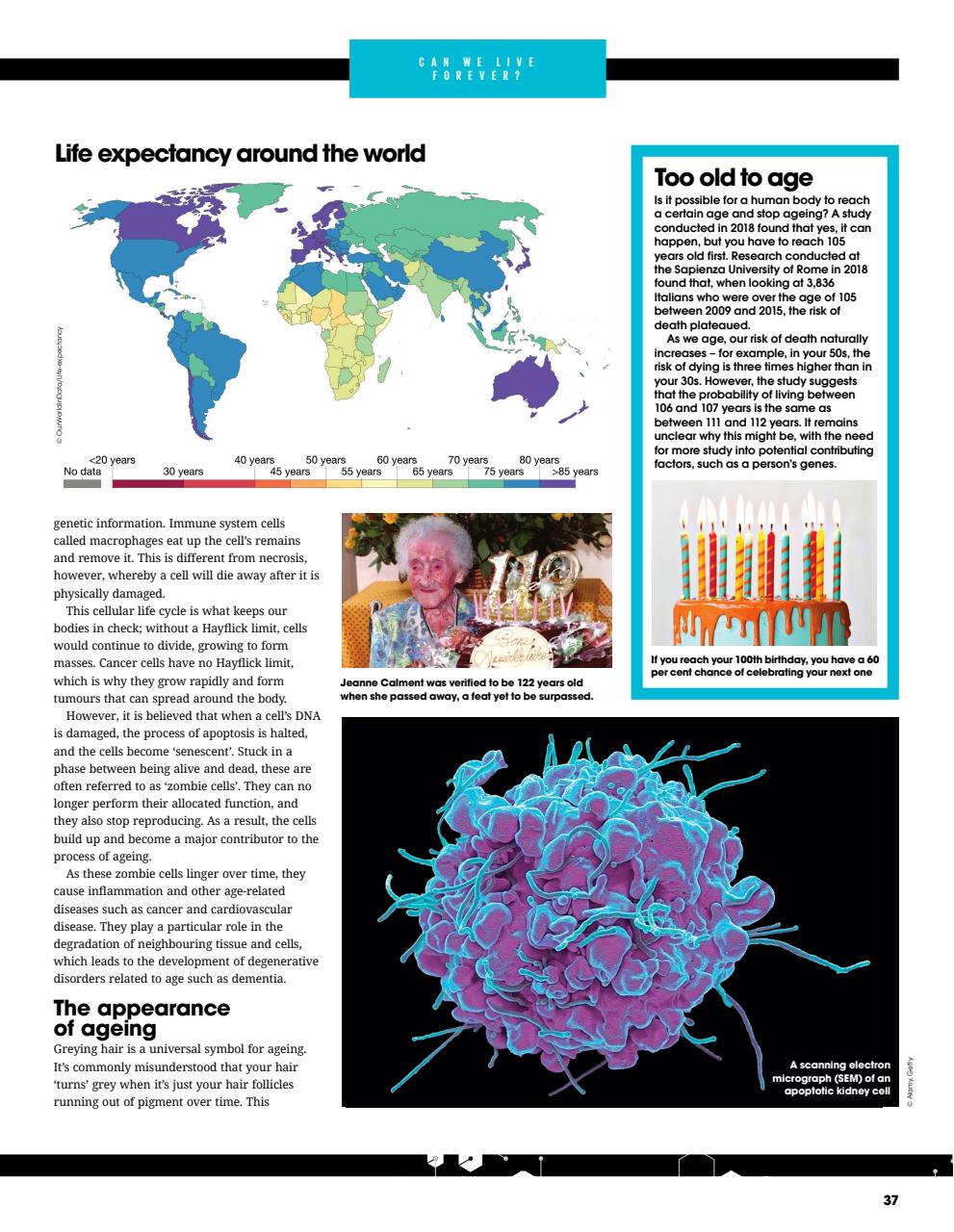 How It Works Bookazine Preview Pages