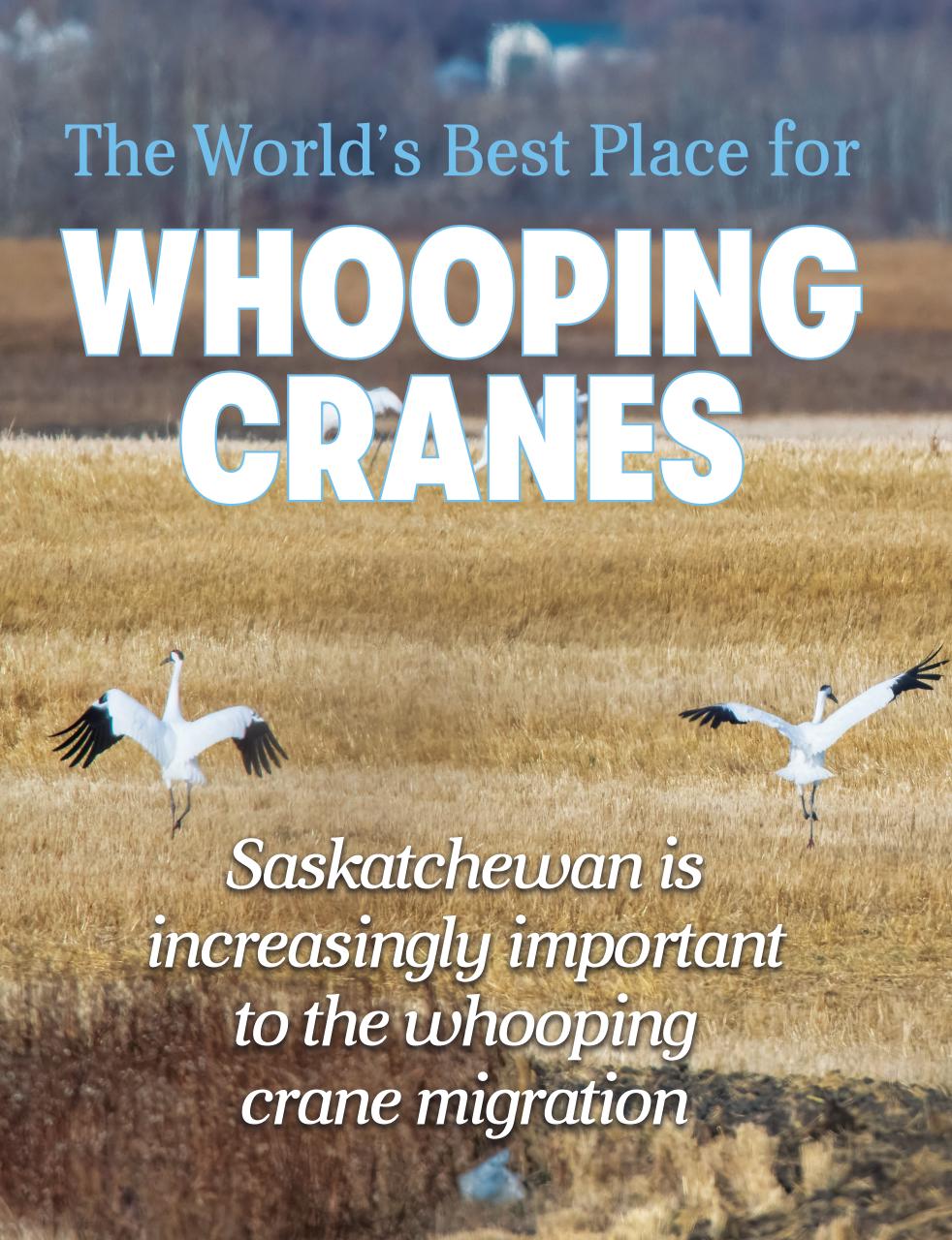 Prairies North Magazine Preview Pages