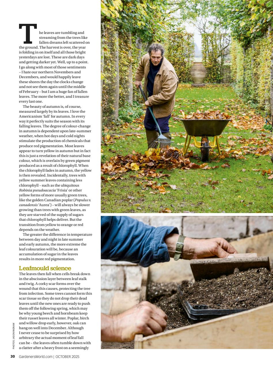 BBC Gardeners’ World Magazine Preview Pages