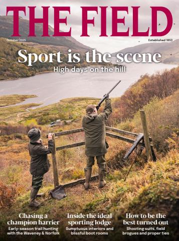 The Field issue October 2025