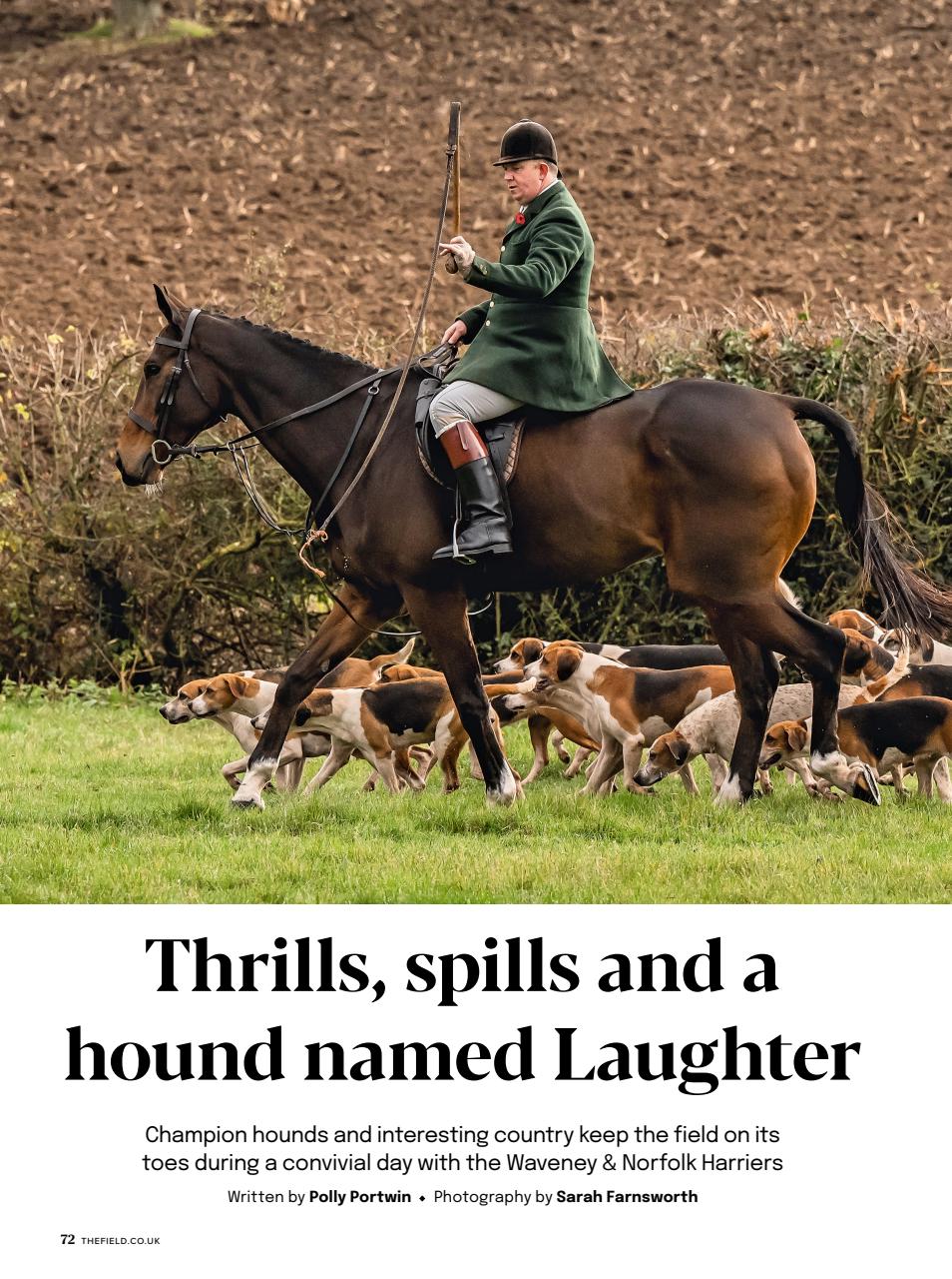 The Field Preview Pages