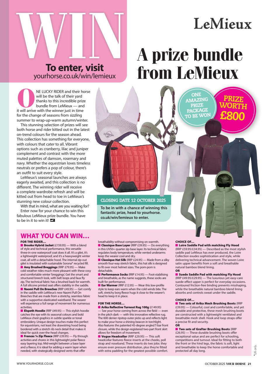 Your Horse Preview Pages