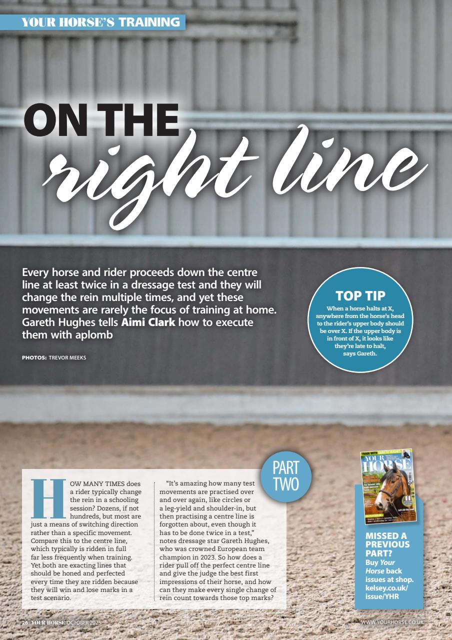 Your Horse Preview Pages