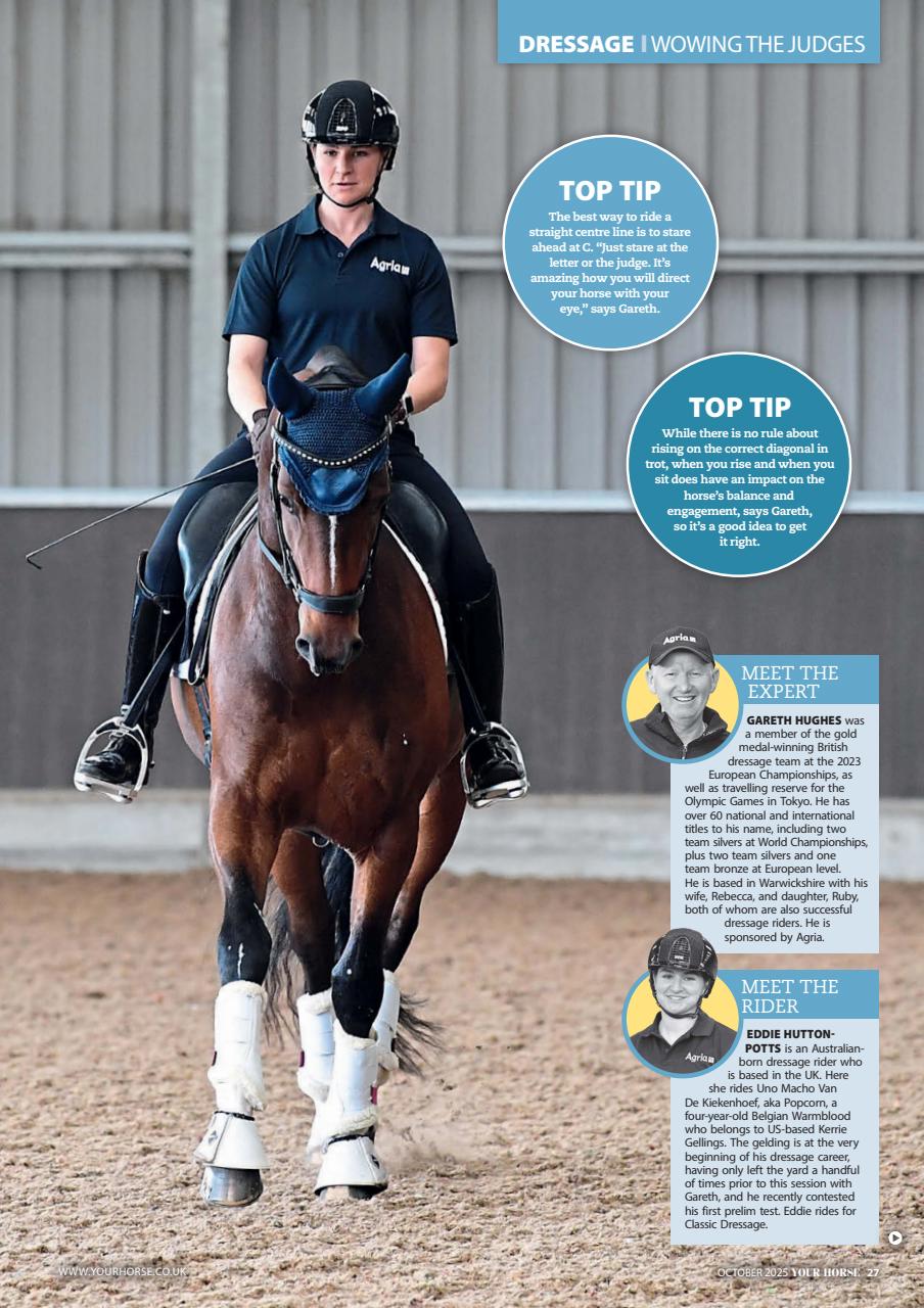 Your Horse Preview Pages