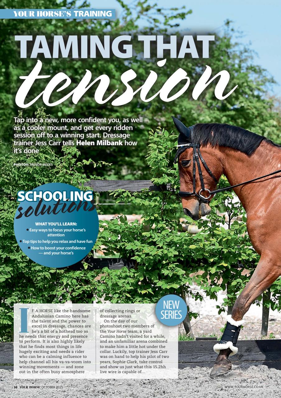 Your Horse Preview Pages